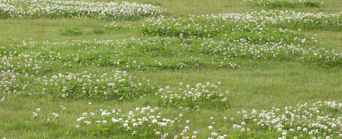 Verkoopwinst bouwkavel belast